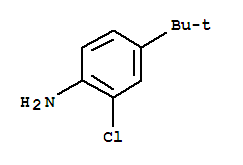 4-叔丁基-2-氯苯胺