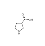 (S)-吡咯烷-3-羧酸