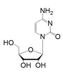 胞苷