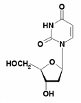 2’-脫氧尿苷