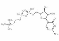 胞二磷膽堿