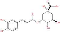 新綠原酸