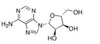 腺苷