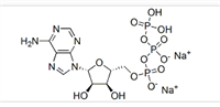 腺苷-5′-三磷酸二鈉鹽(ATP)