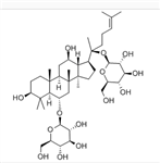 人參皂苷Rg1