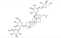 人參皂苷Rc