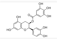 表兒茶素沒食子酸酯