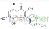3,4′,5,7,8-五羥基黃酮