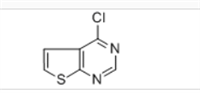 4-氯噻吩[2,3-D]嘧啶