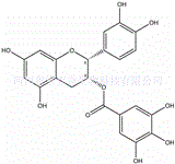 表兒茶素沒食子酸酯標準品