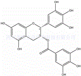 表沒食子兒茶素沒食子酸酯 標準品