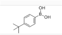 4-叔丁基苯硼酸