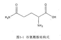 L-谷氨酰胺;