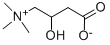 DL-肉堿
