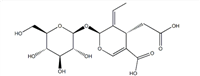 (2S,3E,4S)-5-羧基-3-亞乙基-2-(BETA-D-吡喃葡萄糖氧基)-3,4-二氫-2H-吡喃-4-乙酸