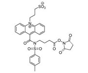 吖啶酯  NSP-SA-NHS