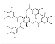 1,2,3,6-四-O-沒食子酰-β-D-葡萄糖苷