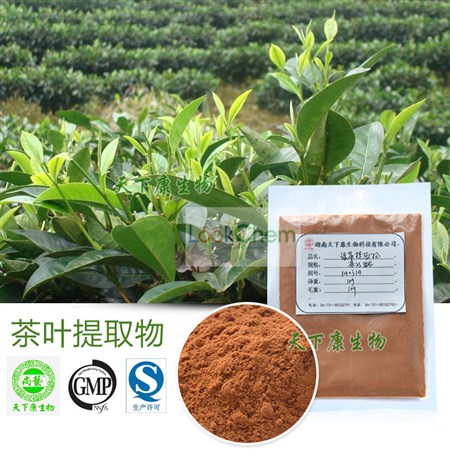 品名：茶多酚
提取來源：綠茶
規格：25% - 98%
檢測