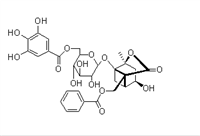 6'-O-沒食子酰白芍苷