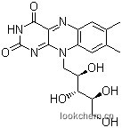 維生素B2