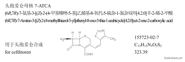 頭孢妥侖母核