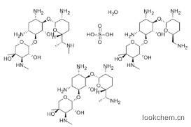 硫酸慶大霉素