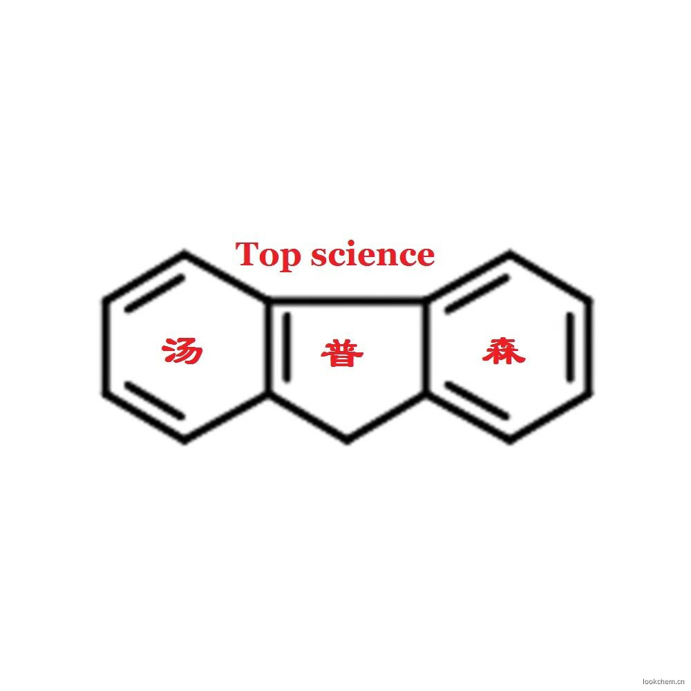 4-叔丁基苯乙酸