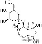 益母草苷 52949-83-4