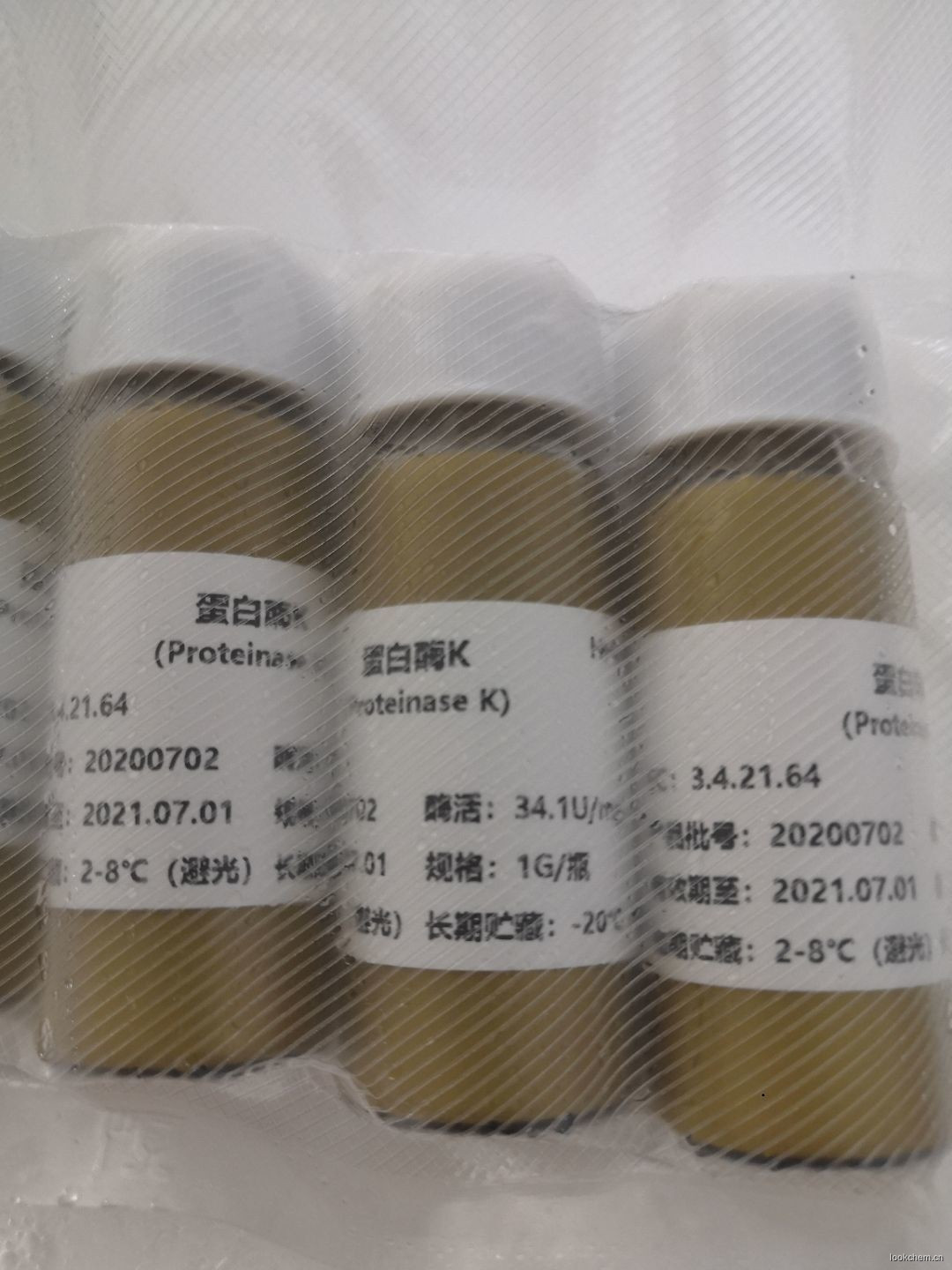 蛋白酶K