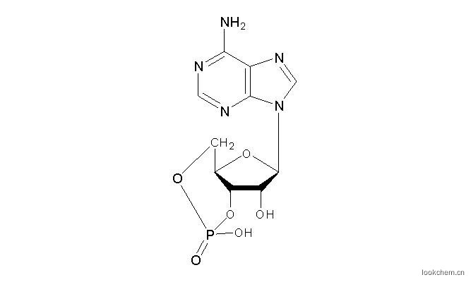環磷腺苷