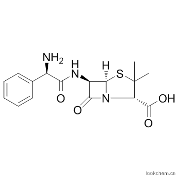 氨芐西林