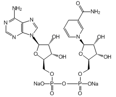 β-煙酰胺腺嘌呤二核苷酸二鈉鹽 302449