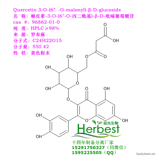 槲皮素-3-O-（6”-O-丙二酰基)-β-D-吡喃葡萄糖苷